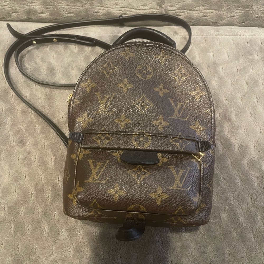 Louis Vuitton Palm Springs Mini
